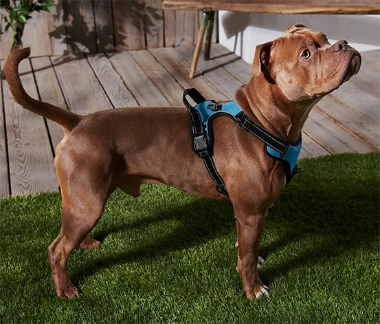 Кучешки нагръдник за големи кучета