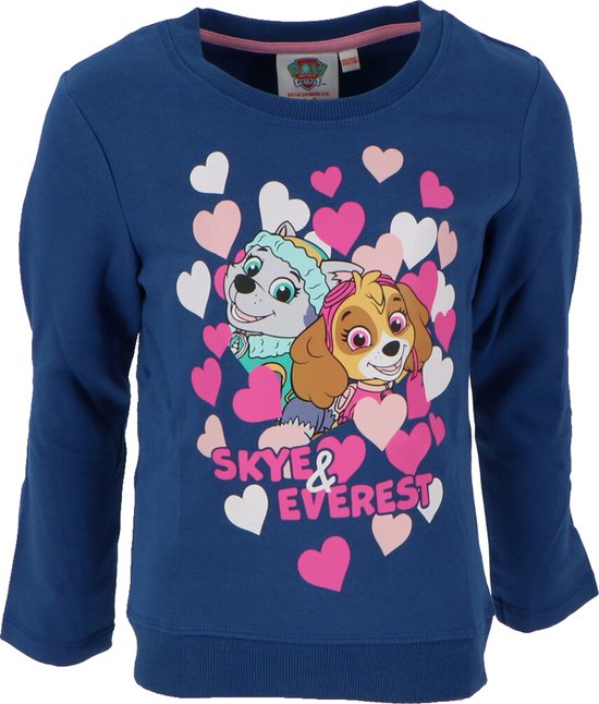 Paw Patrol Children's cotton blouse, blue with print