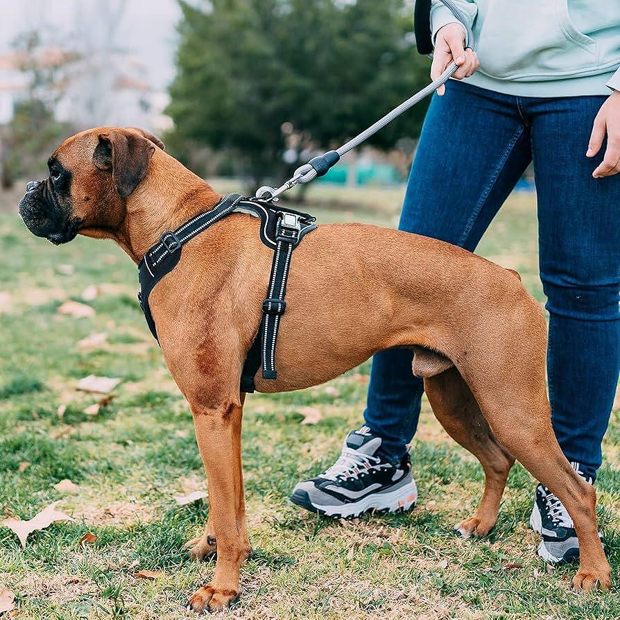 Кучешки нагръдник за големи кучета